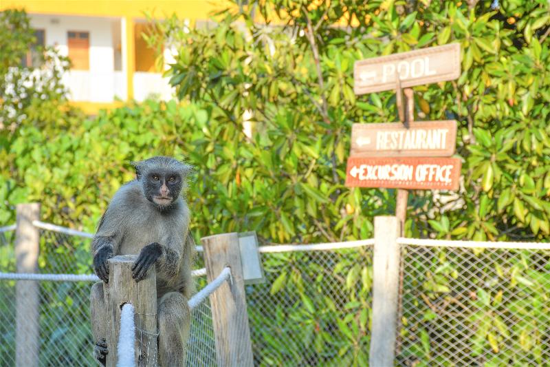 فندق Reef & Beach Resort