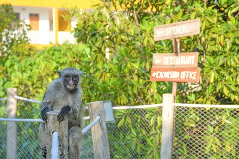 Hotel Reef & Beach Resort