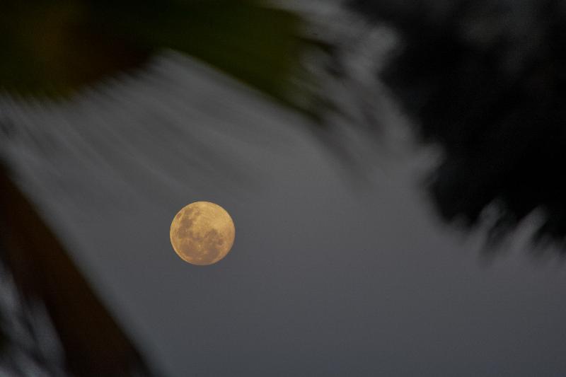 فندق Reef & Beach Resort