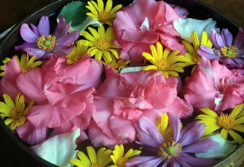 هتل The Pavilions Himalayas The Farm