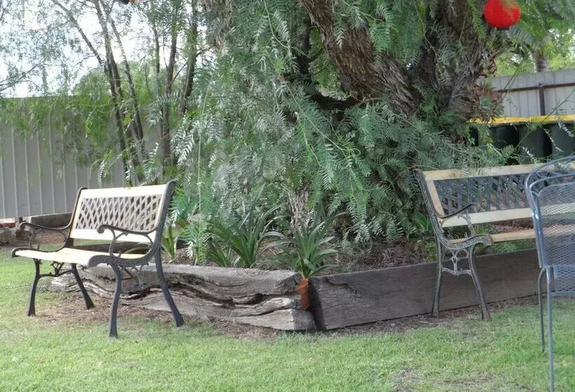 汽车旅馆  Bidgee Motor Inn