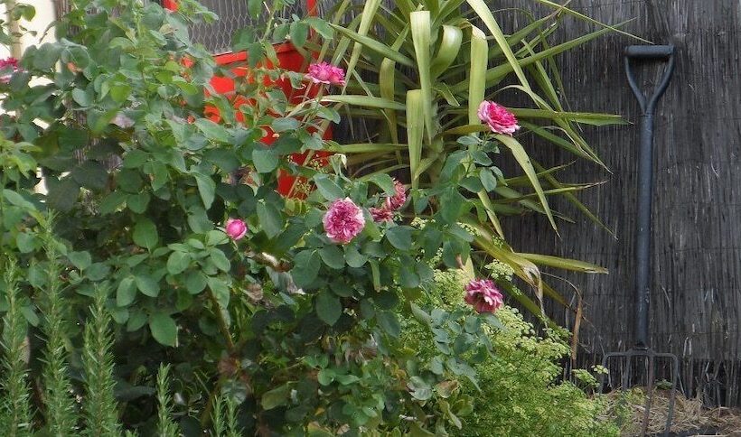 فندق على الطريق Bidgee Motor Inn