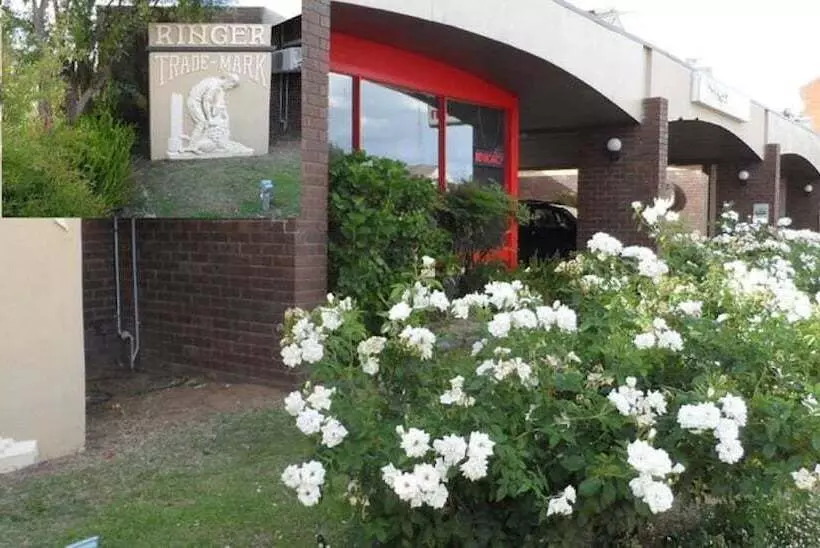 汽车旅馆  Bidgee Motor Inn