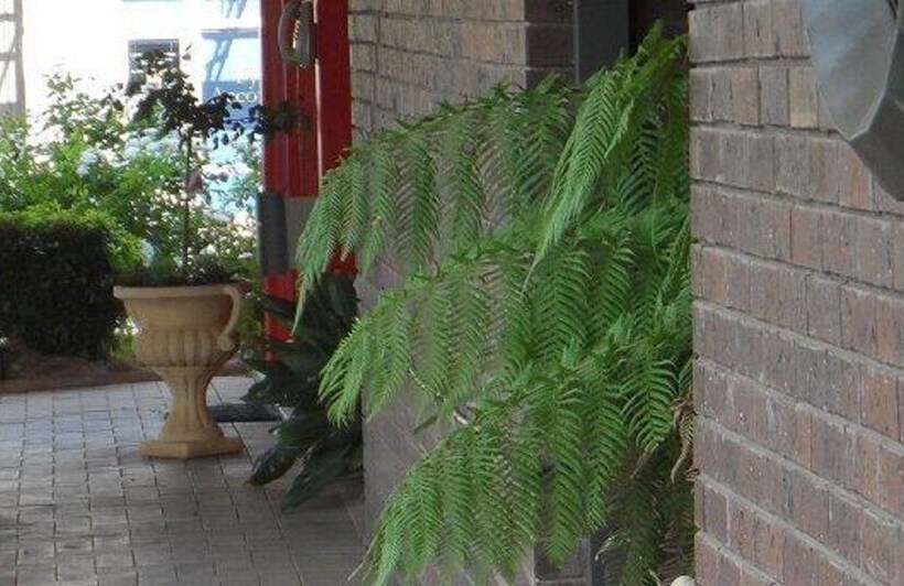 فندق على الطريق Bidgee Motor Inn