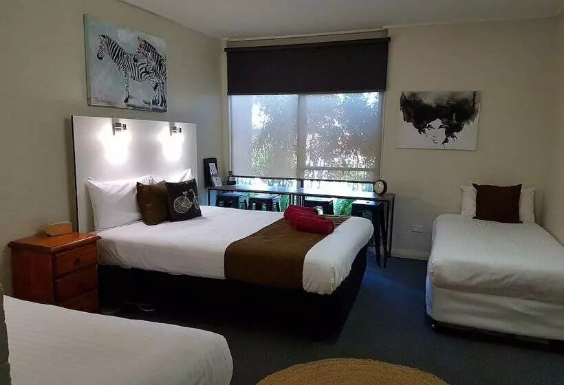 汽车旅馆  Bidgee Motor Inn