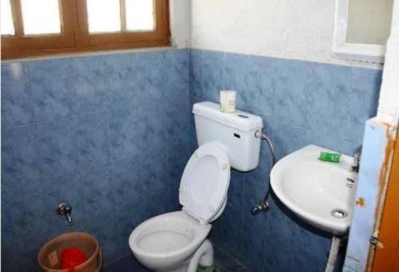 Tih Tsomoriri Hotel Lake View