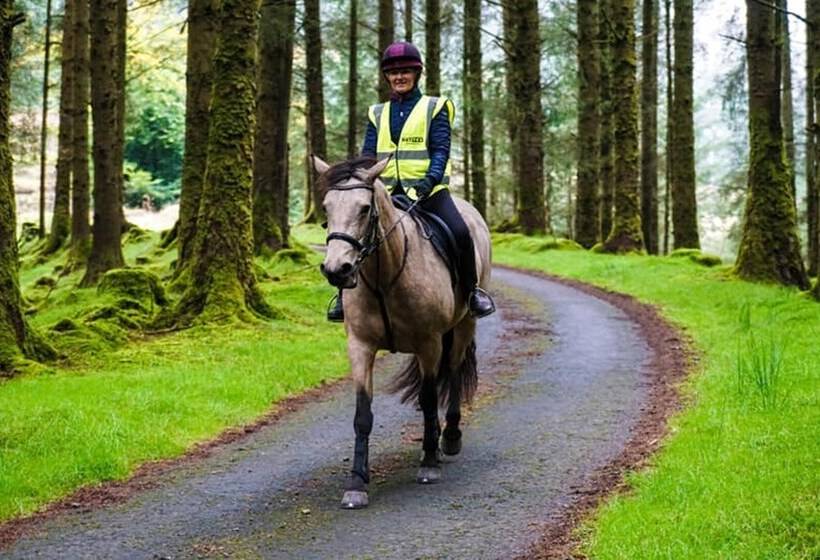 בית מלון כפרי Forester S Retreat Glamping Cambrian Mountains
