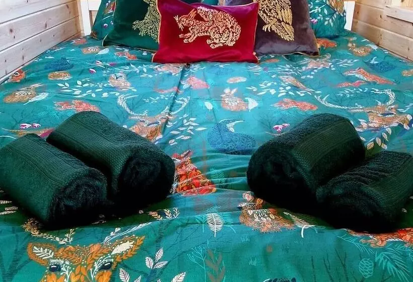 Hotelli Forester S Retreat Glamping   Cambrian Mountains