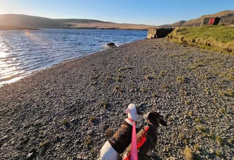 Hotelli Forester S Retreat Glamping   Cambrian Mountains