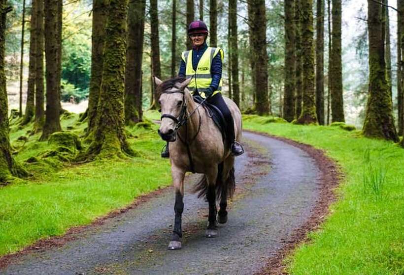 בית מלון כפרי Forester S Retreat Glamping Cambrian Mountains