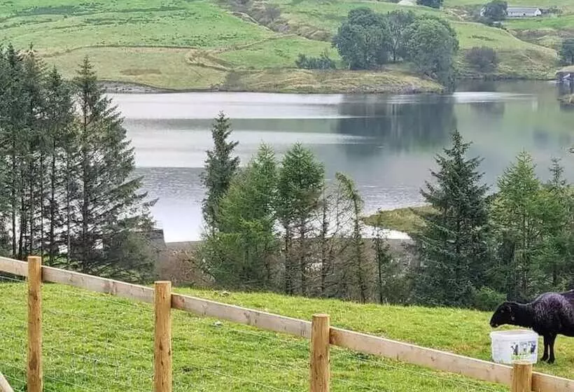 Hotelli Forester S Retreat Glamping   Cambrian Mountains