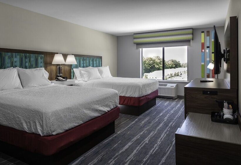 ホテル Hampton Inn & Suites Indianapolis West Speedway