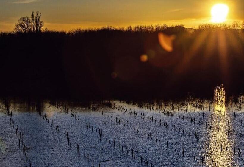 乡村酒店  Etna Quota Mille