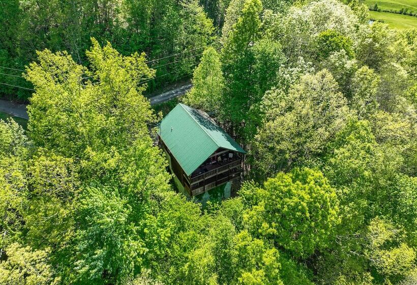Only Dreamin Cabin W/ Private Hot Tub
