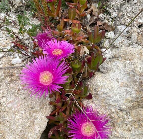 פנסיון Casa Natura 40