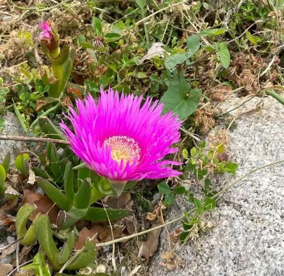 Majatalo Casa Natura 40