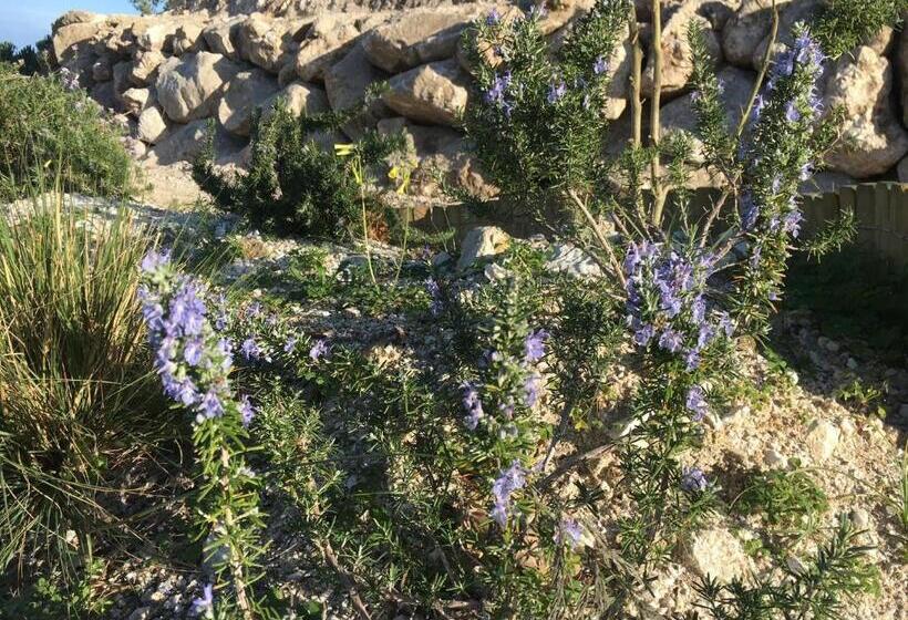 פנסיון Casa Natura 40