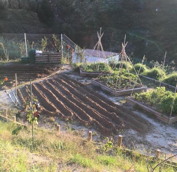 פנסיון Casa Natura 40