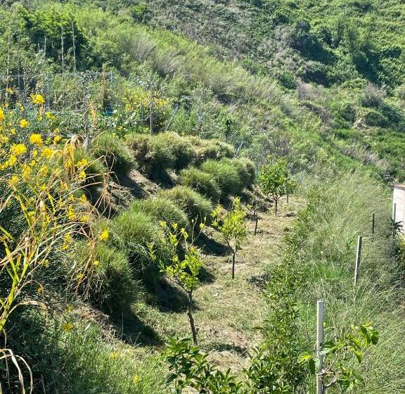 פנסיון Casa Natura 40