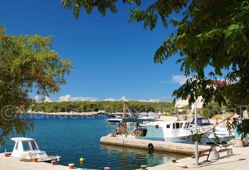 پانسیون Olive House