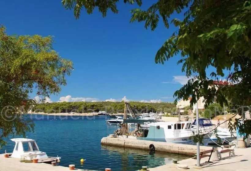 پانسیون Olive House