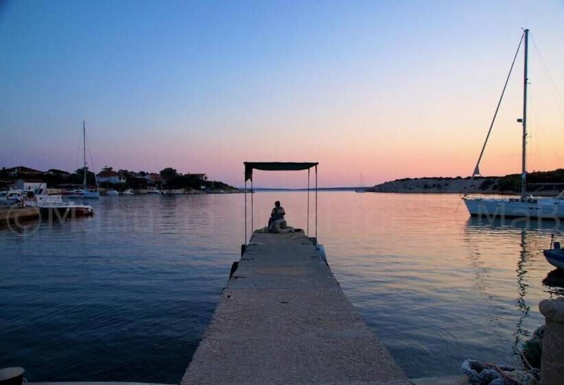 پانسیون Olive House