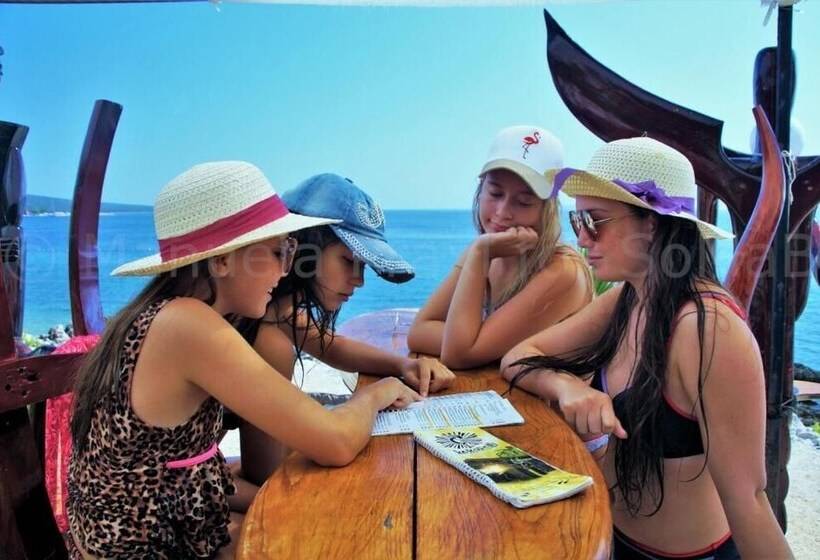 پانسیون Olive House