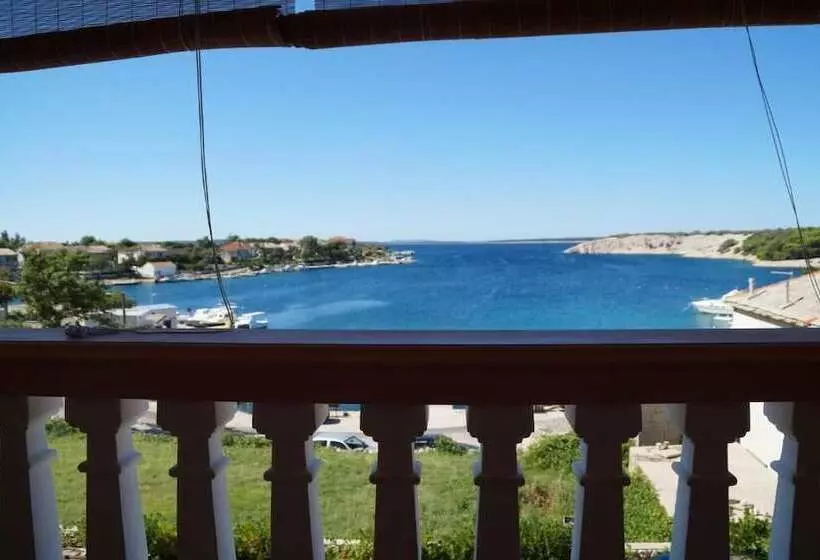 پانسیون Olive House