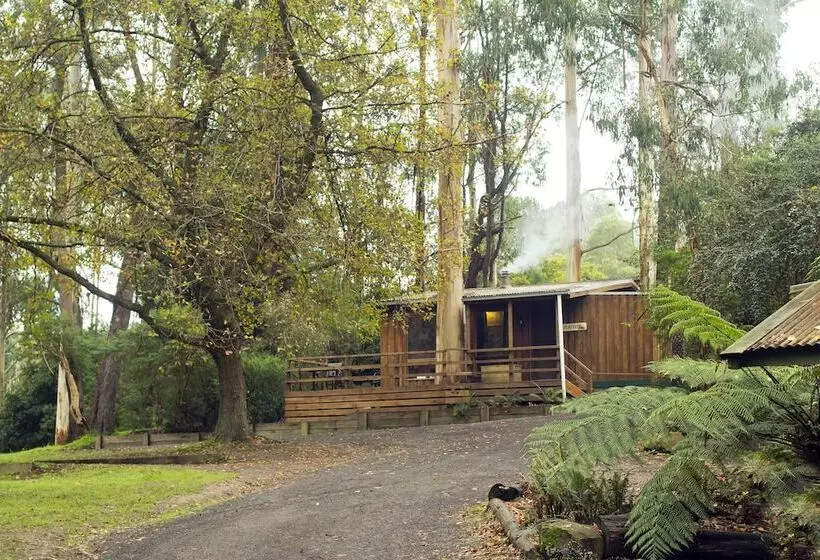 Tarra Valley Retreat