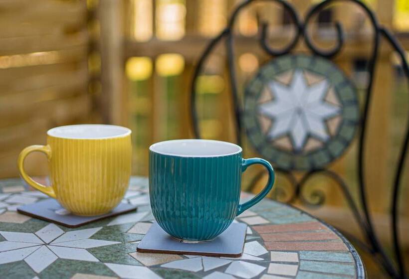 The Hideaway Hut   1 Bed Shepherds Hut   Hereford