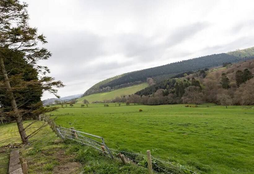 Glamping Wagon 1 X Double Bed, 2 X Single Bed