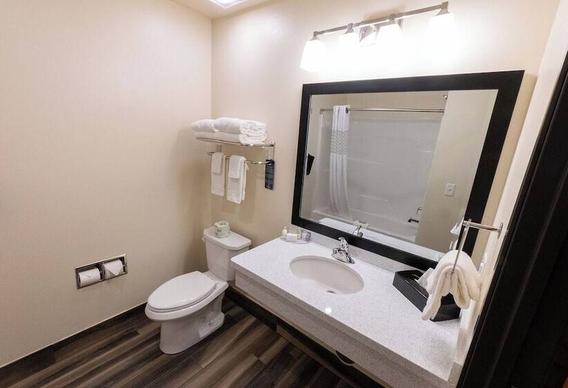 Otel Cobblestone Inn & Suites   Sheldon