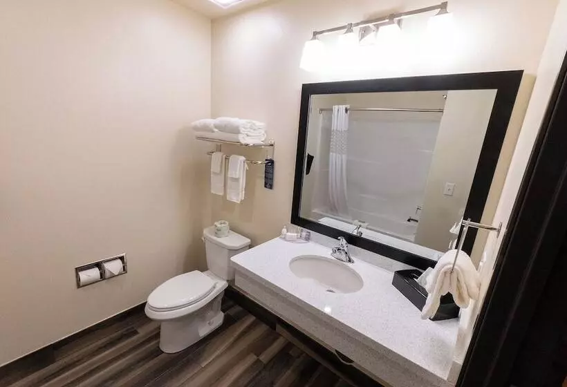 Hotelli Cobblestone Inn & Suites   Sheldon