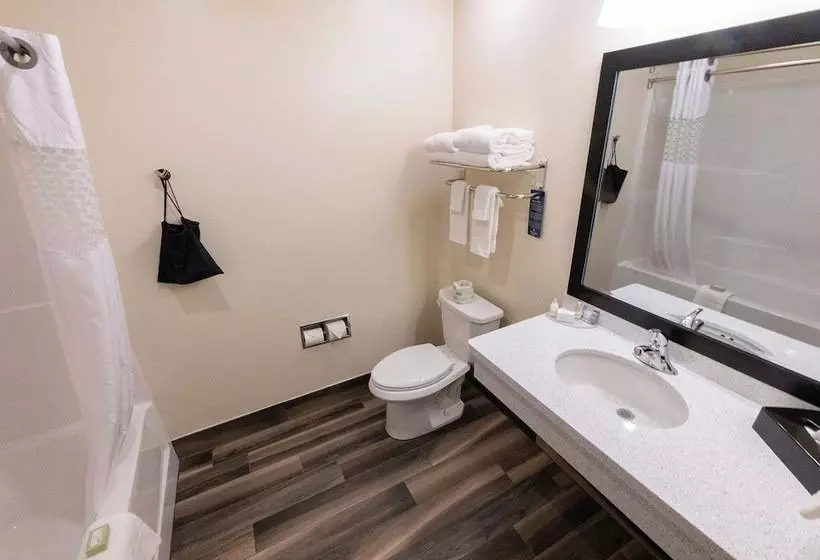 Hotelli Cobblestone Inn & Suites   Sheldon