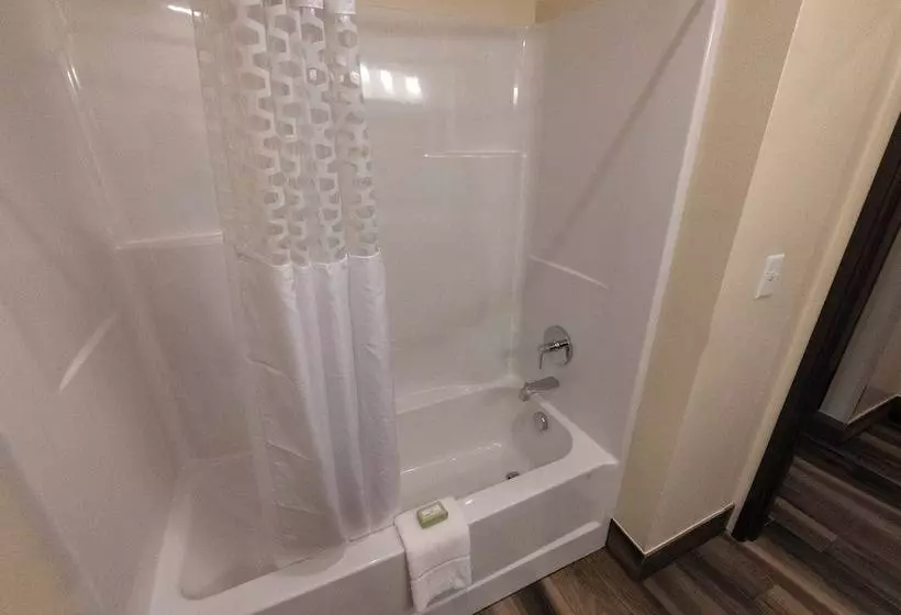 Hotelli Cobblestone Inn & Suites   Sheldon