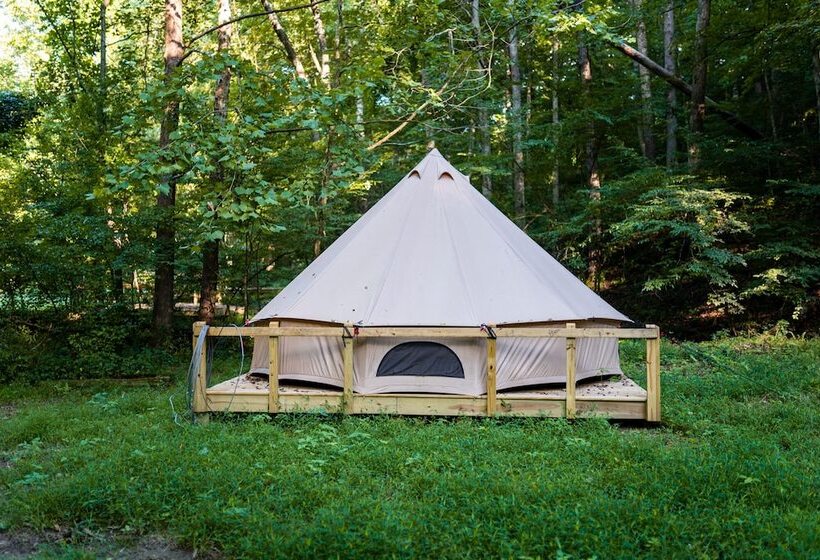 호텔 Harmony Tree Resorts Inc