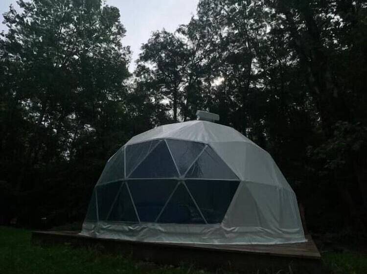 호텔 Harmony Tree Resorts Inc