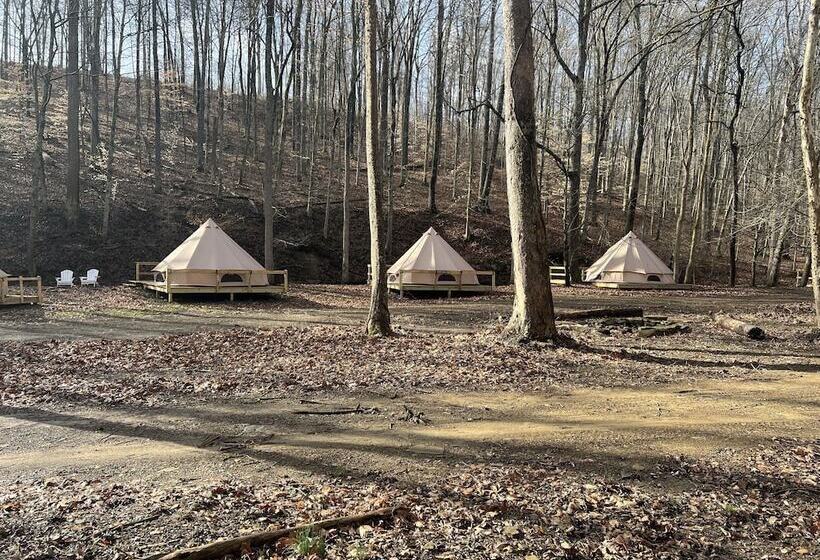 호텔 Harmony Tree Resorts Inc