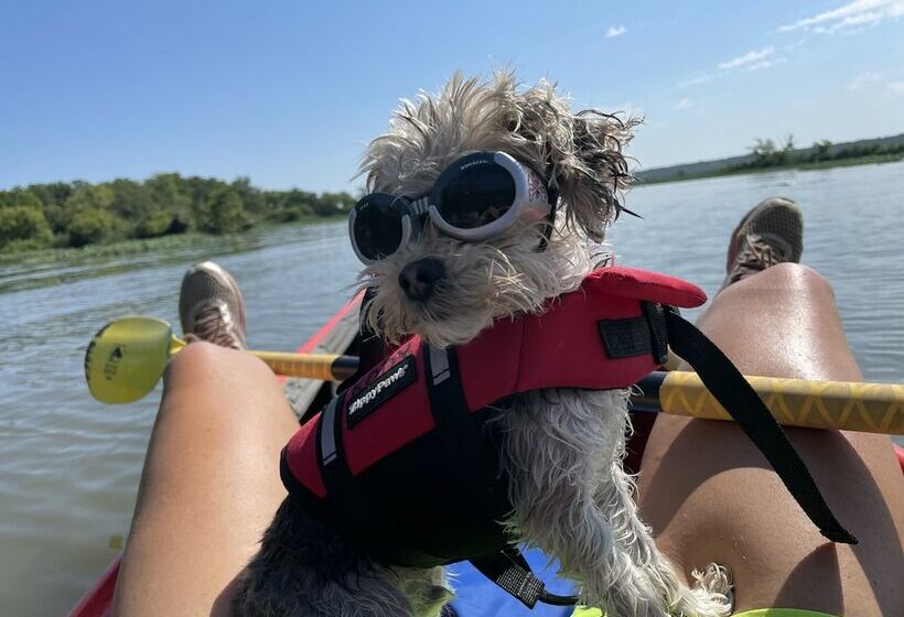 ホテル Kayak Starved Rock Campground