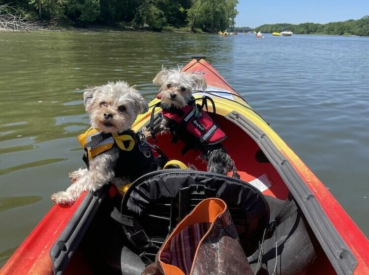 ホテル Kayak Starved Rock Campground