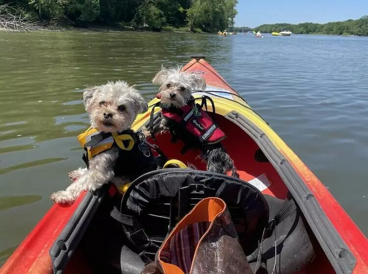 Hotelli Kayak Starved Rock Campground