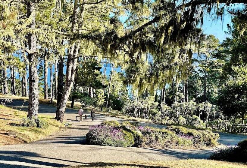 酒店 Lodge At Marconi