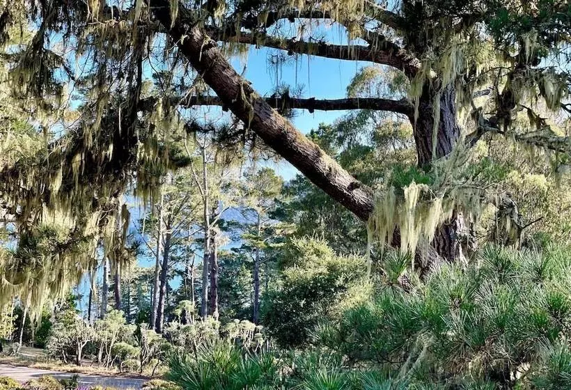 Hotelli Lodge At Marconi