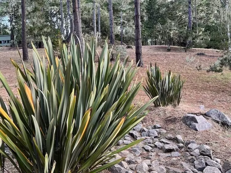 Hotelli Lodge At Marconi