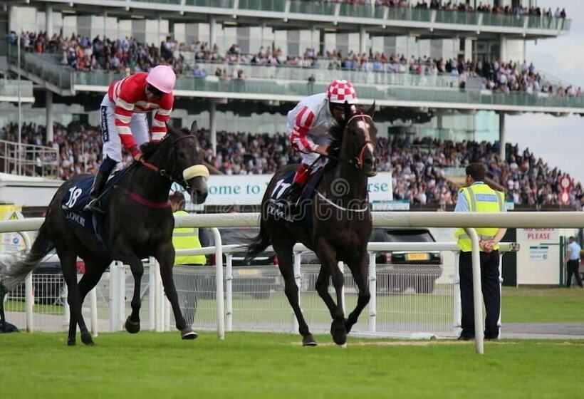 ホテル Pine Boutique Lodge With Hot Tub For Couples & Dog