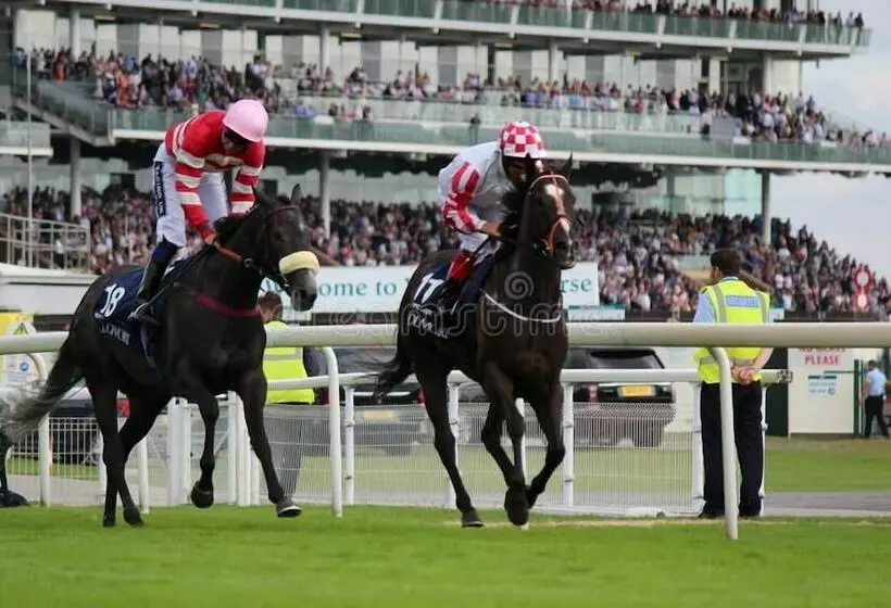 Hotelli Pine Boutique Lodge With Hot Tub For Couples & Dog