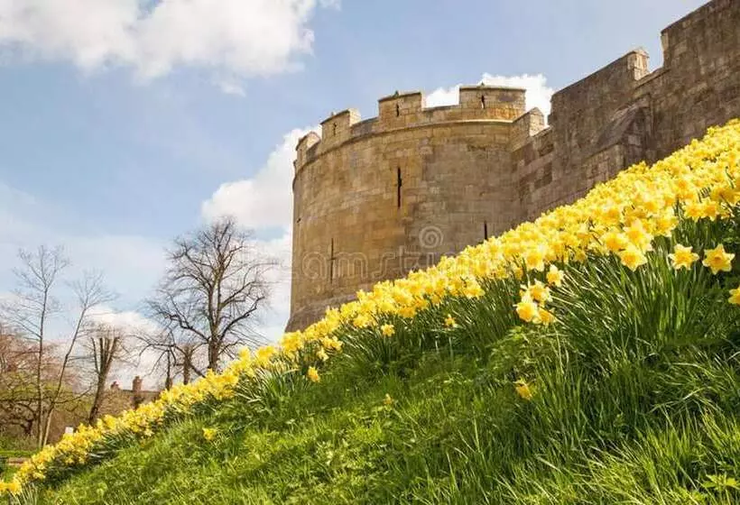 Hotelli Pine Boutique Lodge With Hot Tub For Couples & Dog