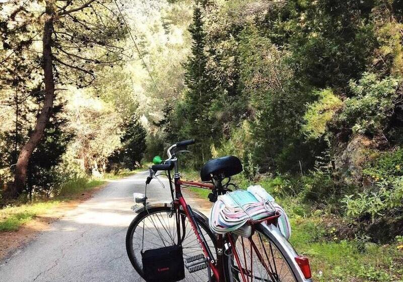Pelagoo Residence   Amazing Stone House In Kalamos