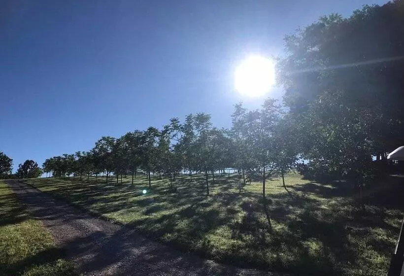 Majatalo Les Cabanes Perchées Du Mas Del Bosc