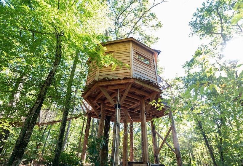 膳宿费 Les Cabanes Perchées Du Mas Del Bosc